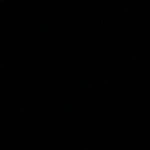 Meet your Posher, Hollie